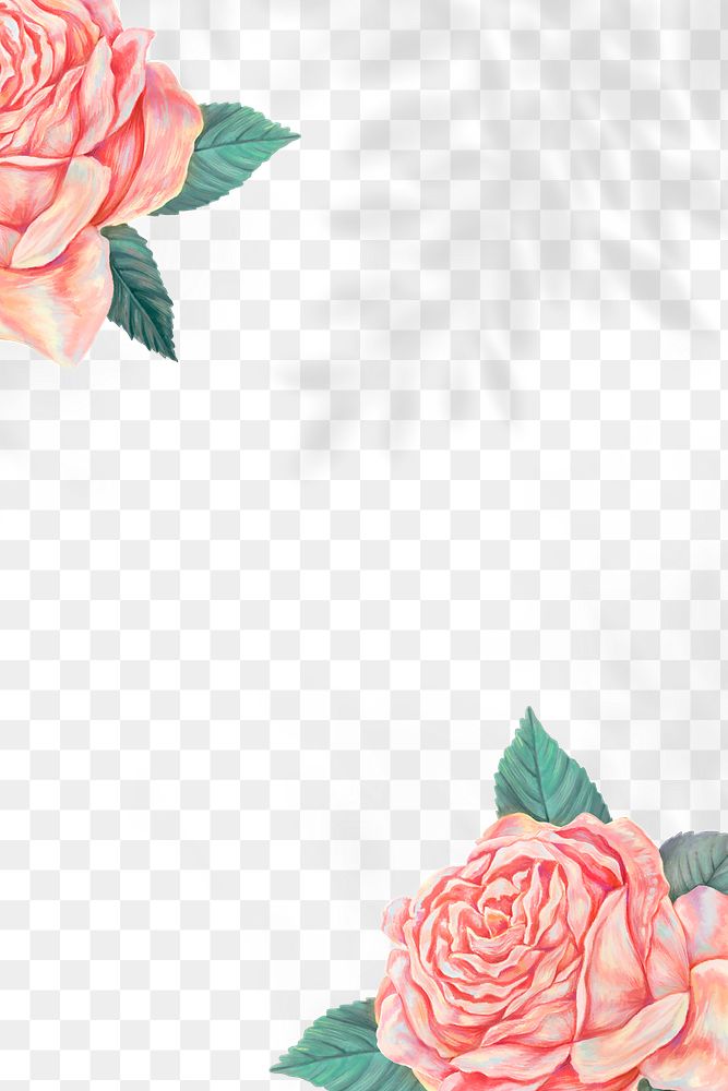 Aesthetic rose png border frame, peach, transparent design