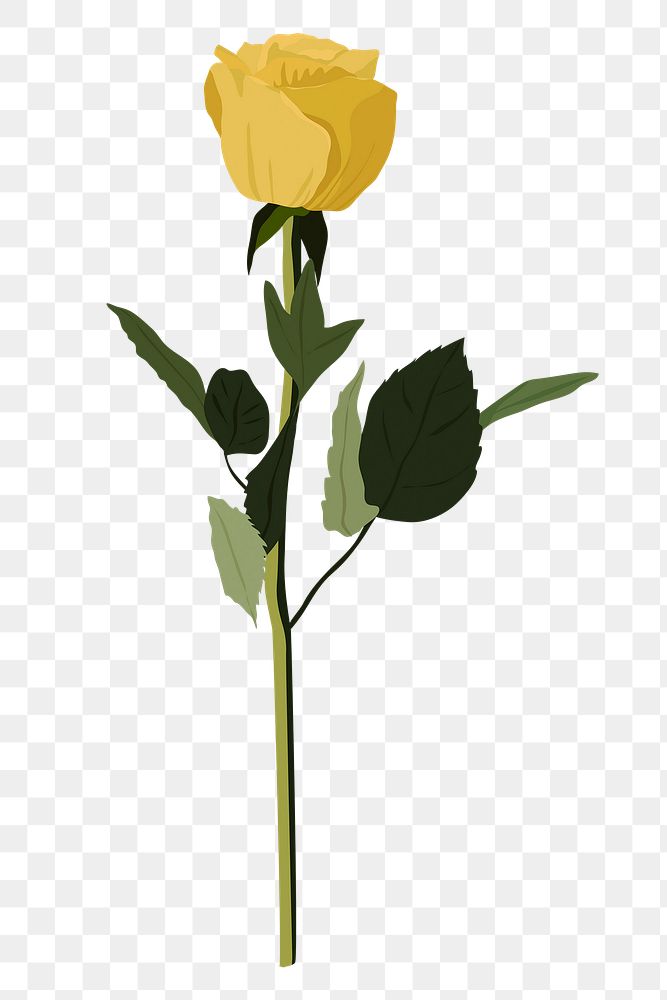 Yellow rose png sticker, transparent background