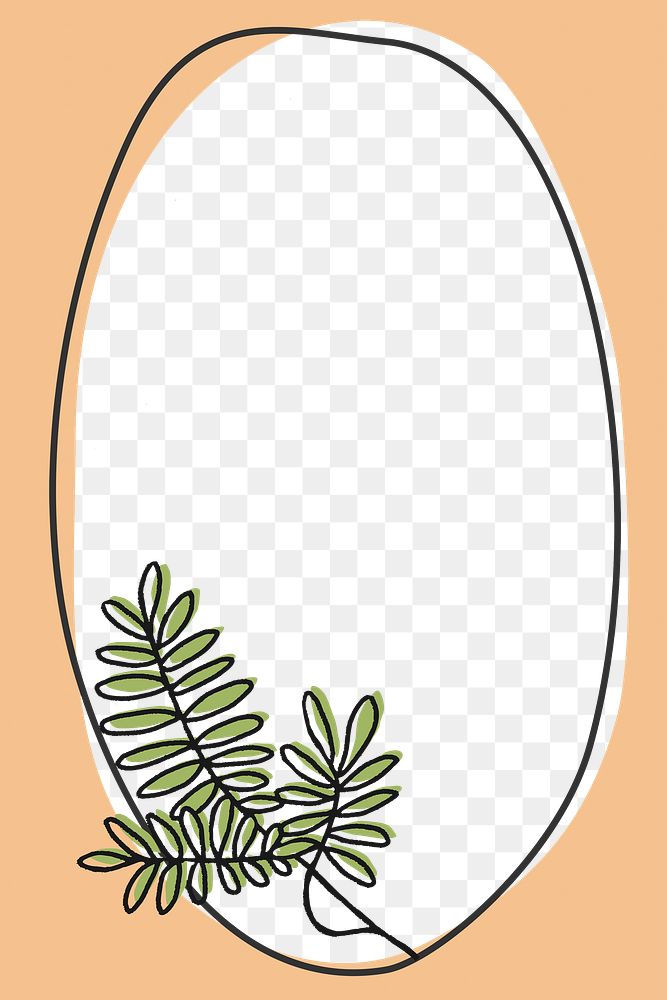 Png acacia tree leaves frame on transparent background