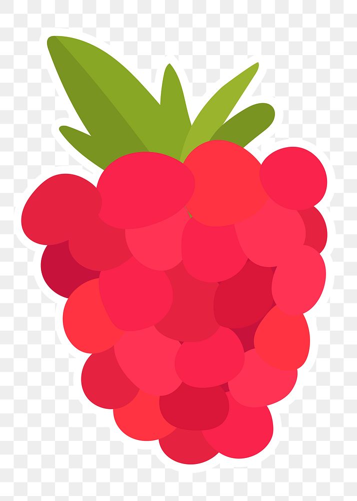 Png colorful raspberry fruit sticker clipart