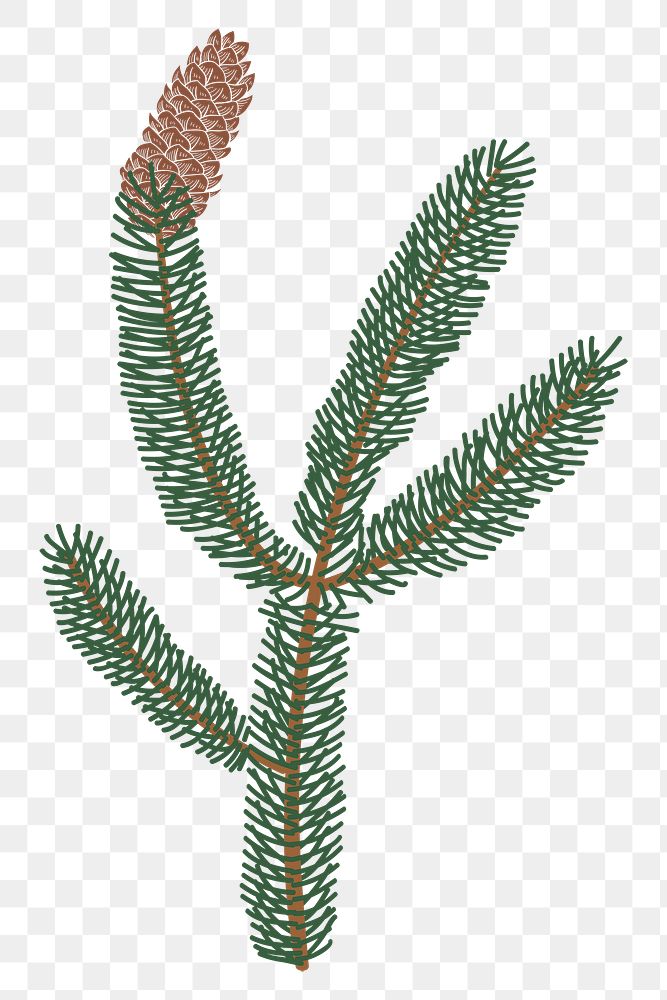 Cute pine tree branch sticker design element