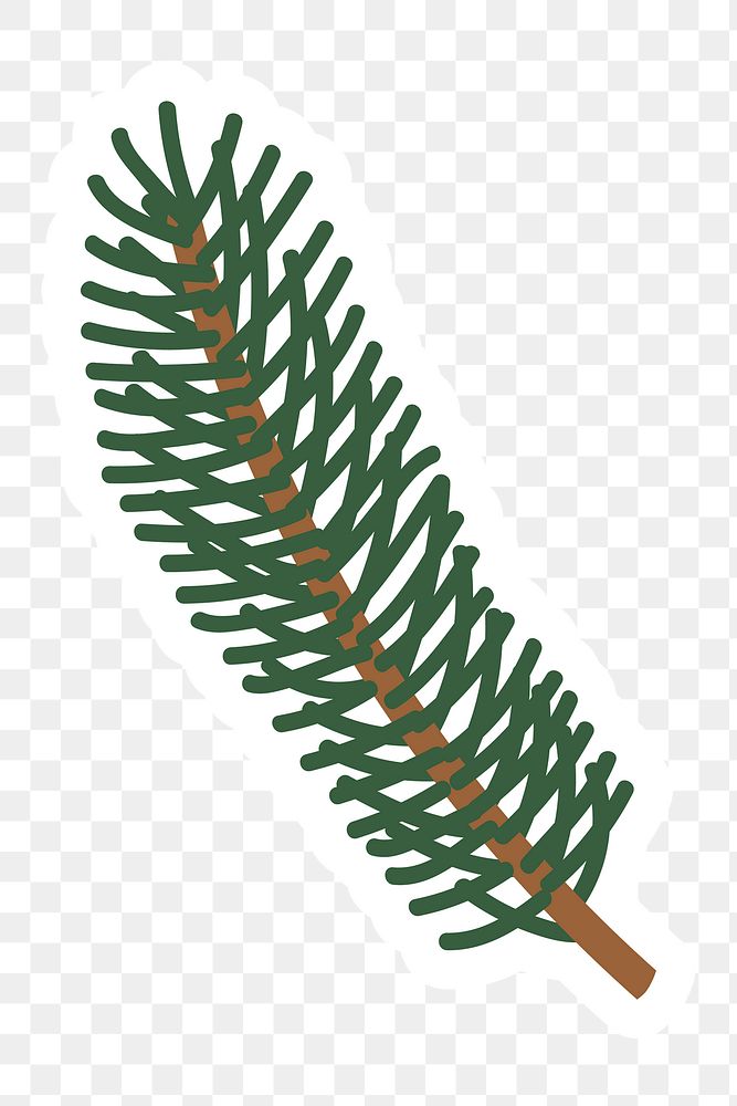 Cute pine tree branch sticker with a white border design element