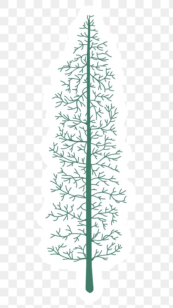 Cute pine tree sticker with a white border design element
