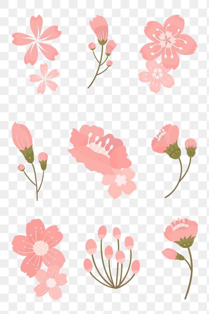PNG pink sakura sticker flower element set