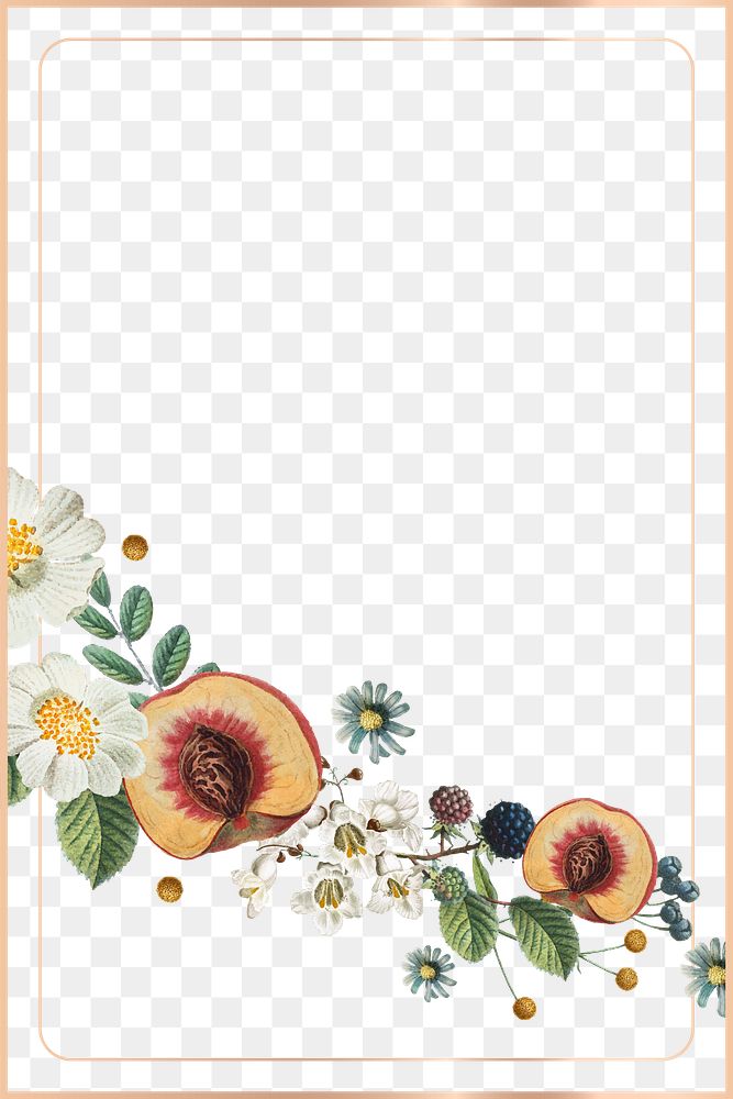 Peach and white flower png border frame transparent background