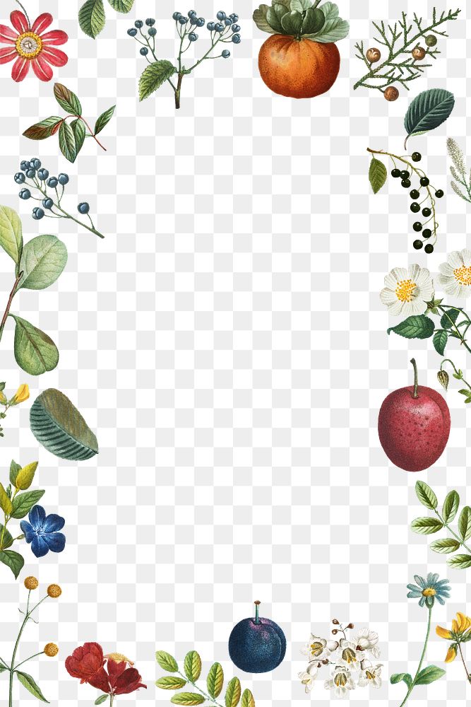 Png fruit and flower frame transparent background