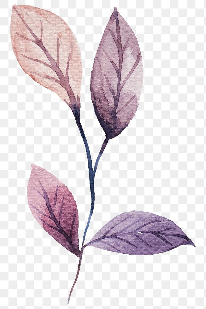 Hand painted purple watercolor leaf transparent png