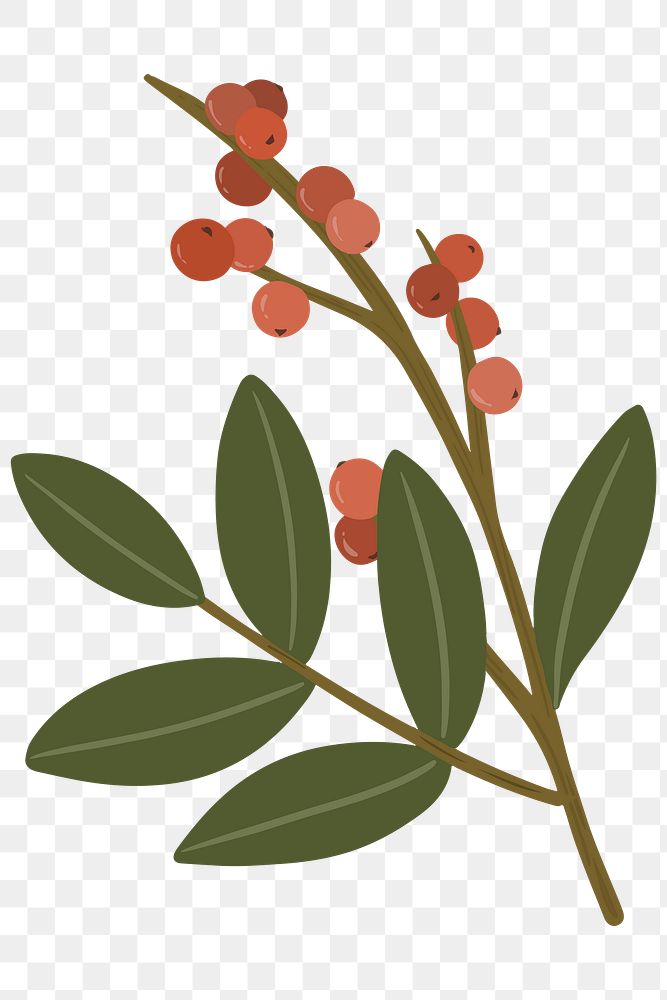 Red winterberry flower transparent png