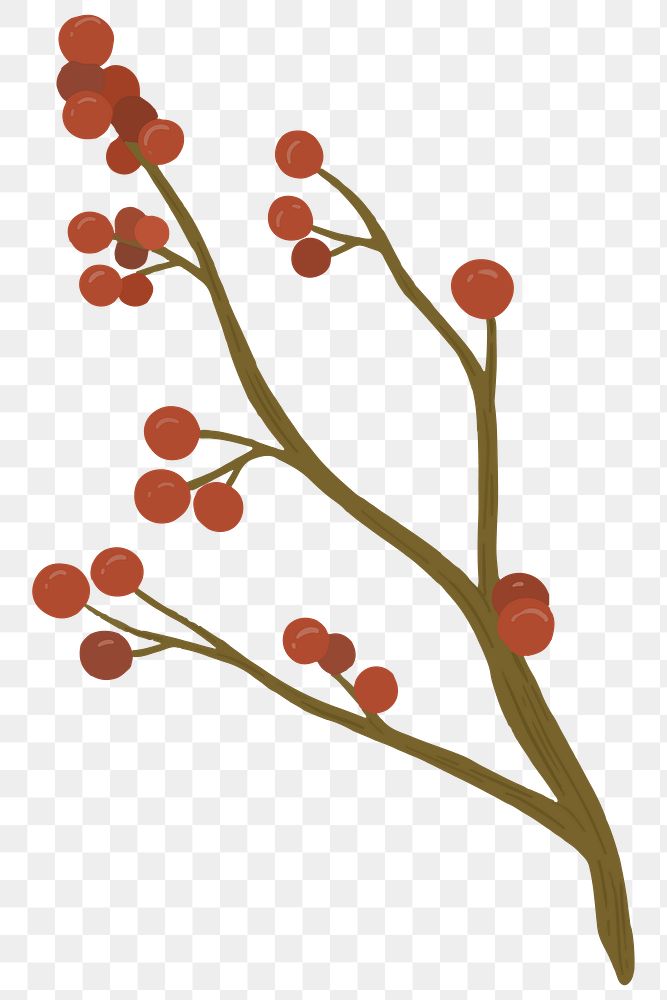 Red winterberry flower transparent png