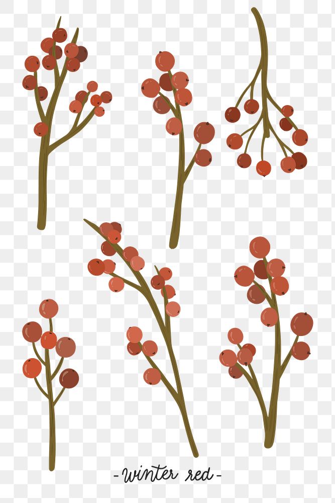 Red winterberry ornament collection transparent png