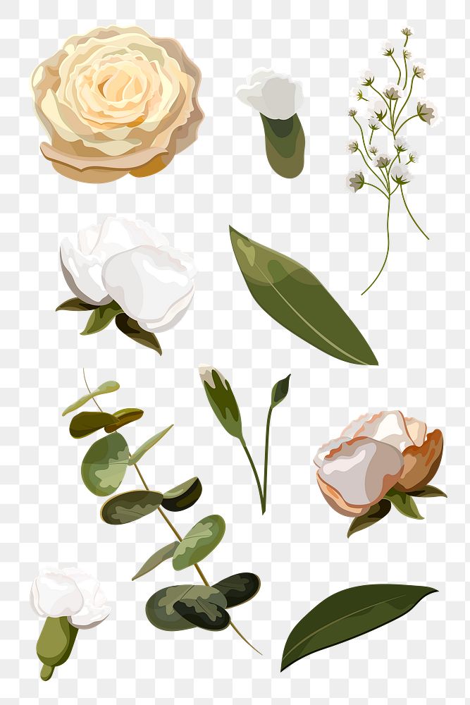 Flowers and leaves design resource collection transparent png