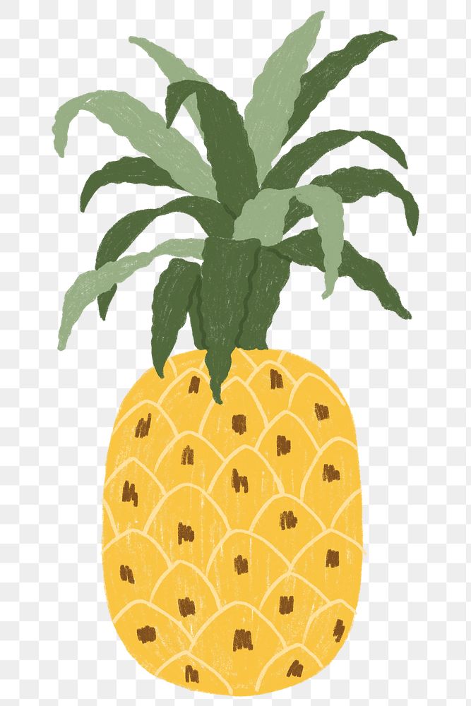 Hand drawn pineapple design resource transparent png
