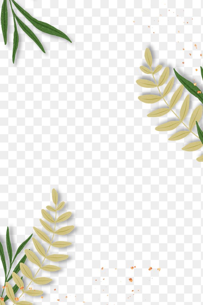 Tropical leaves png frame design