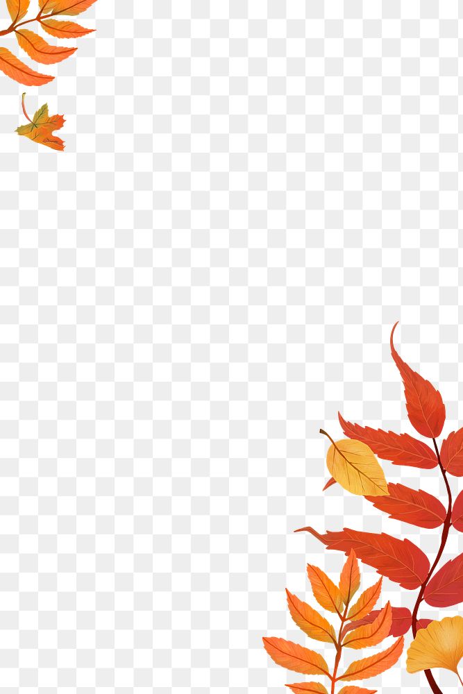 Fall leaves png background transparent