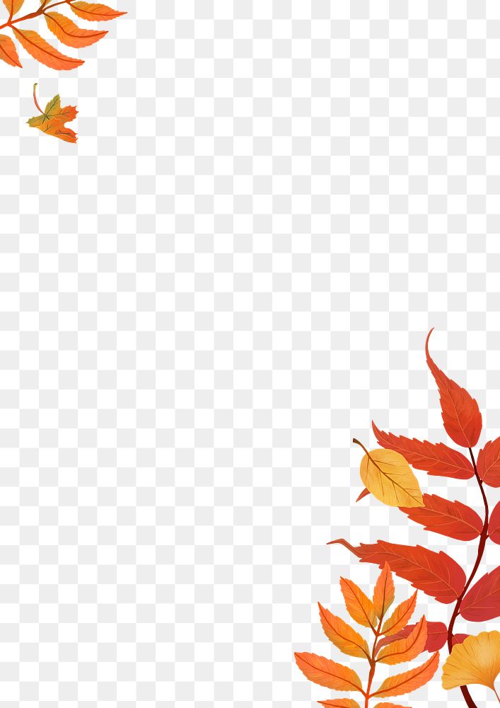 Fall leaves png background transparent