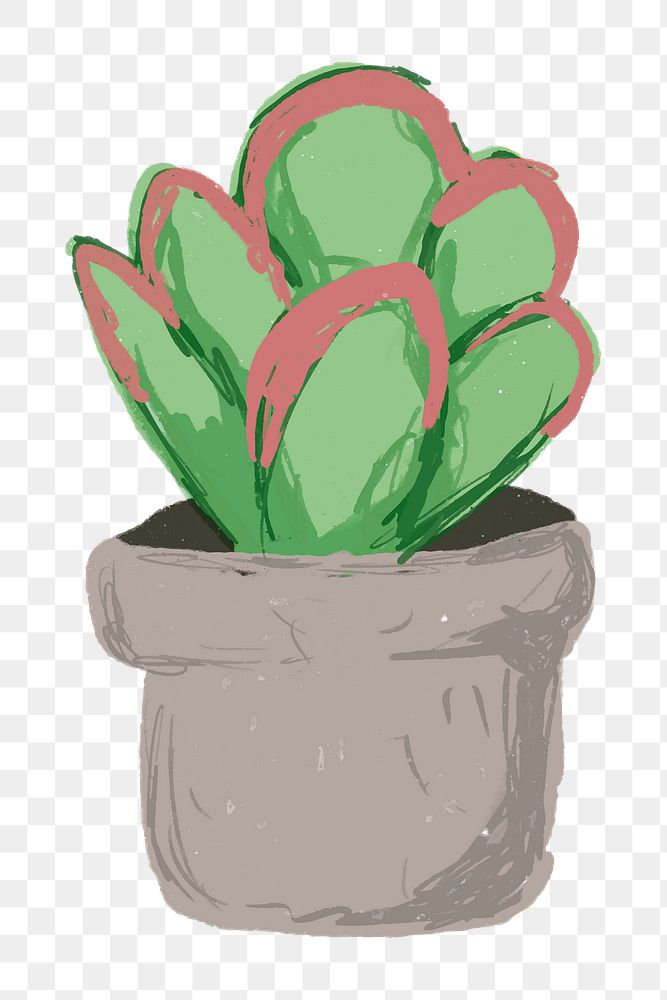 Cute potted plant element png Kalanchoe luciae flapjacks in hand drawn style