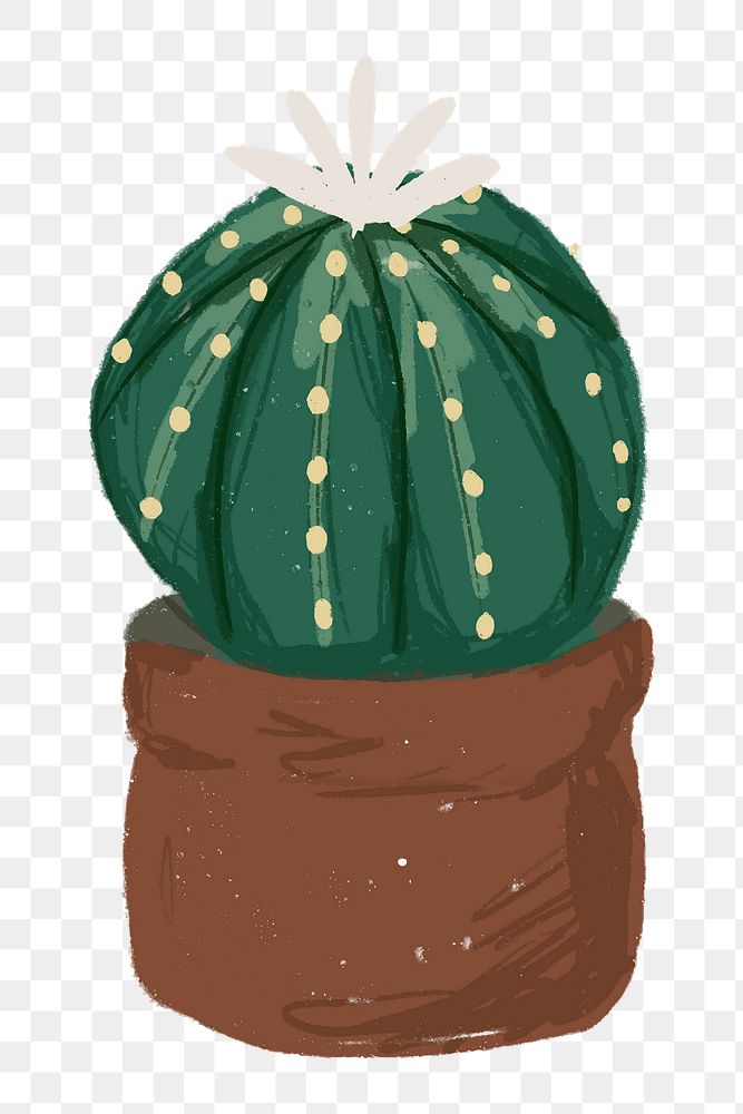 Cute potted plant element png Astrophytum asterias in hand drawn style