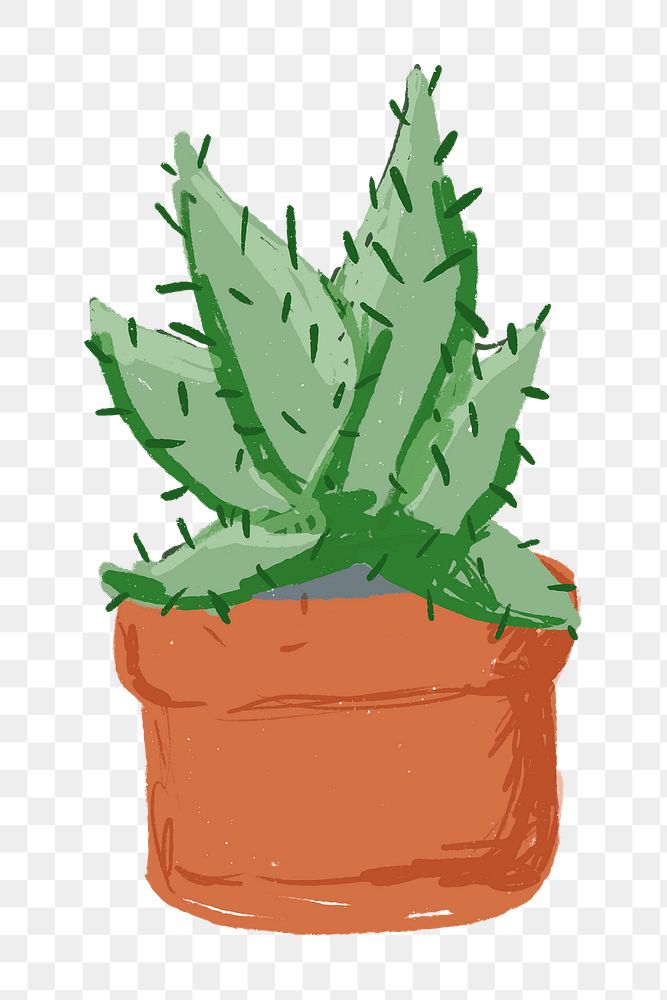 Cute potted plant element png Aloe mitriformis in hand drawn style