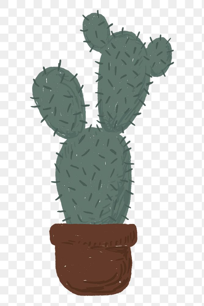 Cute potted plant element png Opuntia microdasys in hand drawn style