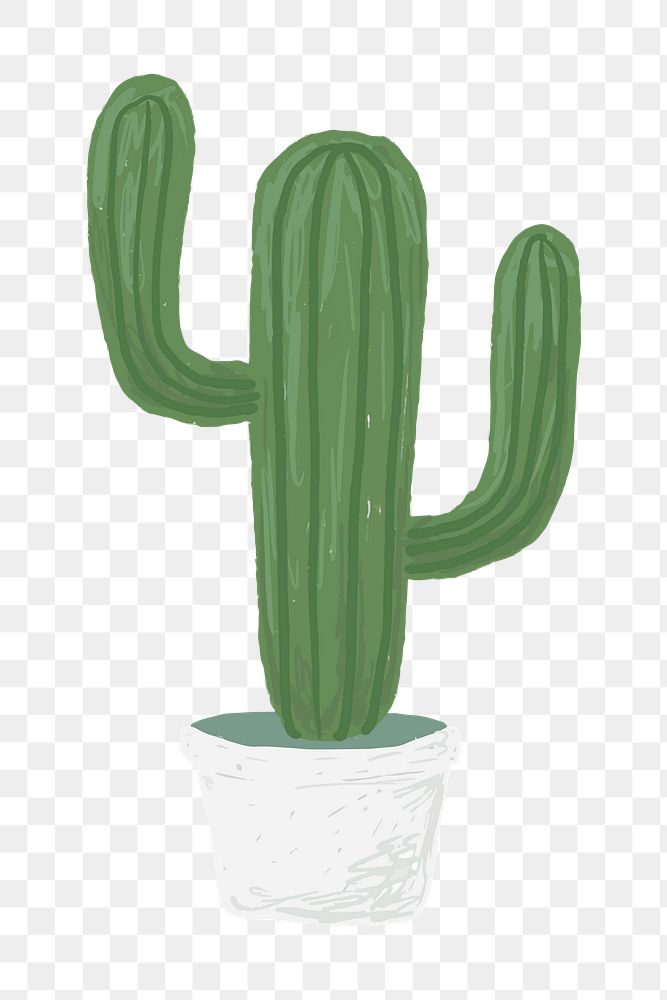 Cute potted plant element png Saguaro in hand drawn style