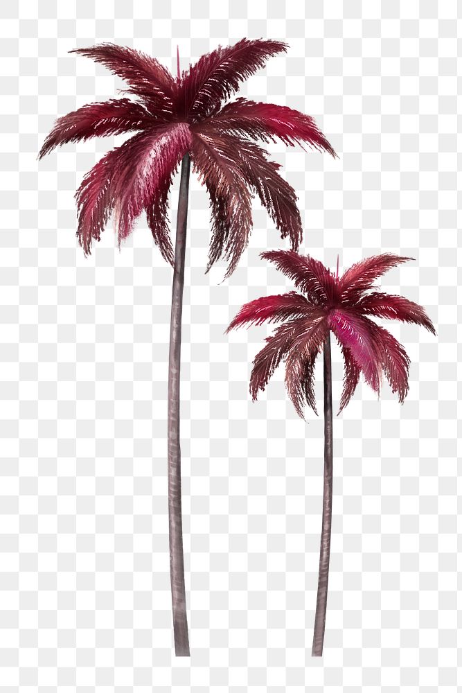 Pink palm tree png design element