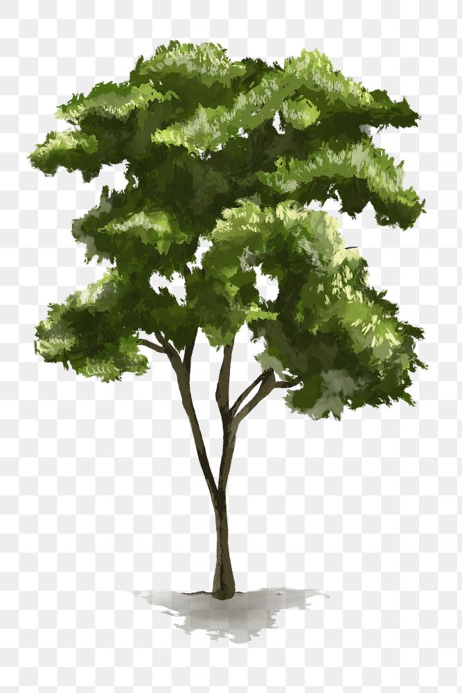 Png tree design element nature painting 