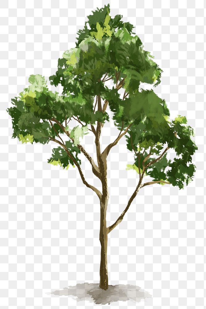 Png tree design element nature painting 