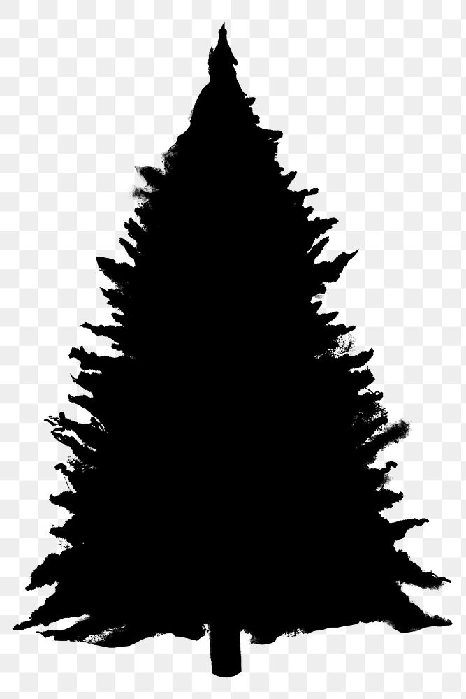 Png black tree design element West Himalayan Fir