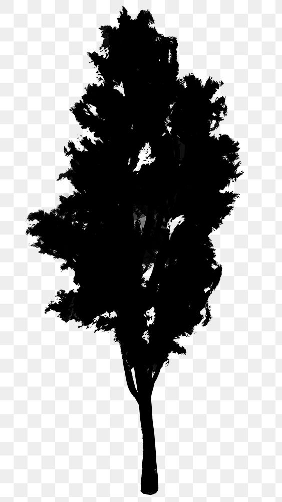 Png black tree design element Pine tree