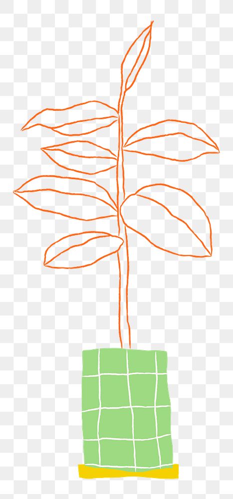 Potted rubber plant png houseplant doodle