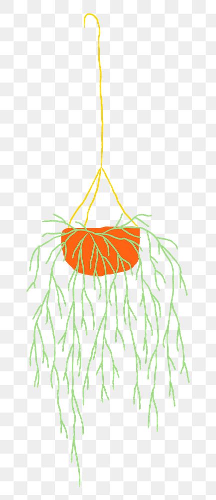 Hanging plant png mistletoe cactus doodle