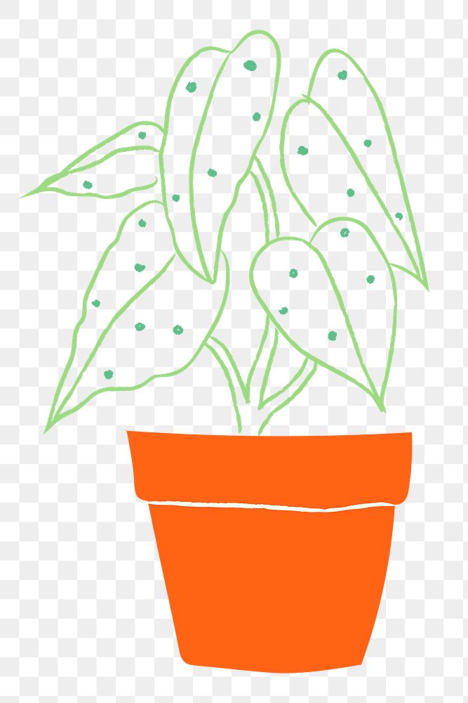 Colorful houseplant png potted plant doodle