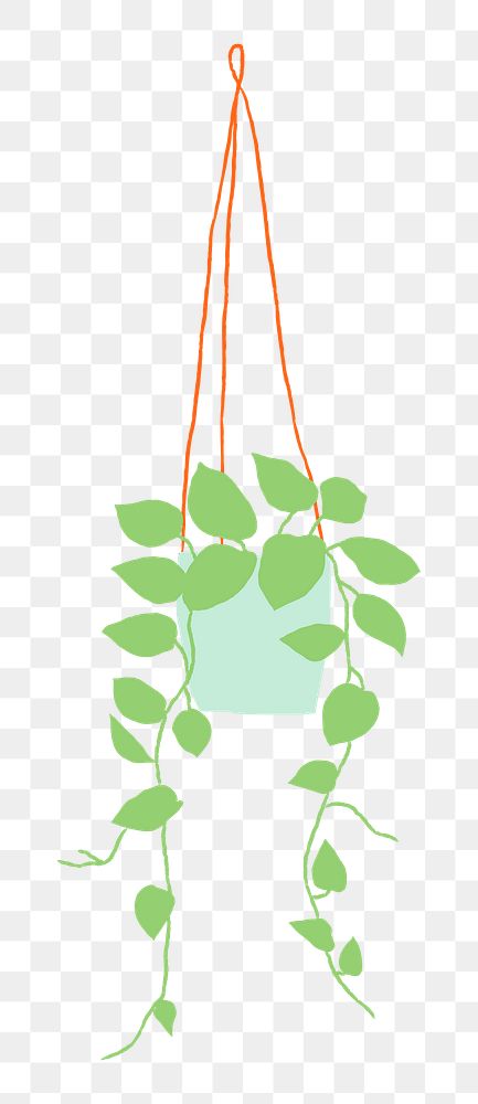 Potted hanging plant png houseplant doodle