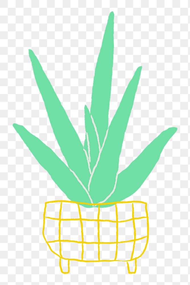 Potted aloe vera png houseplant doodle