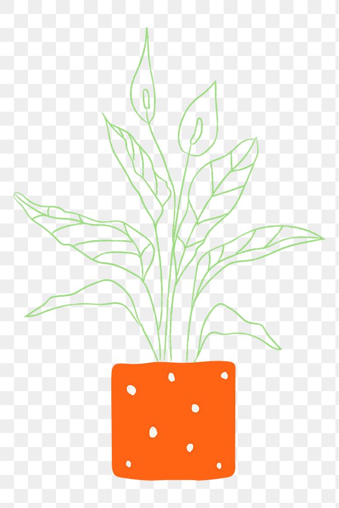 Potted houseplant png simple doodle style