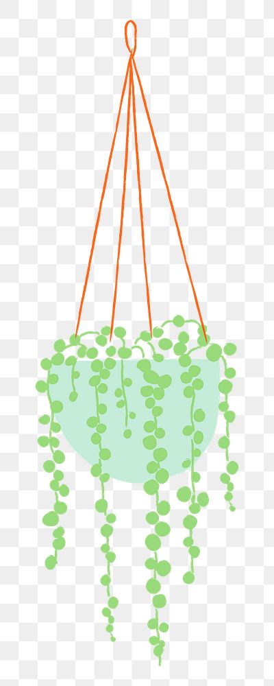 Houseplant png String of Pearls hanging plant doodle