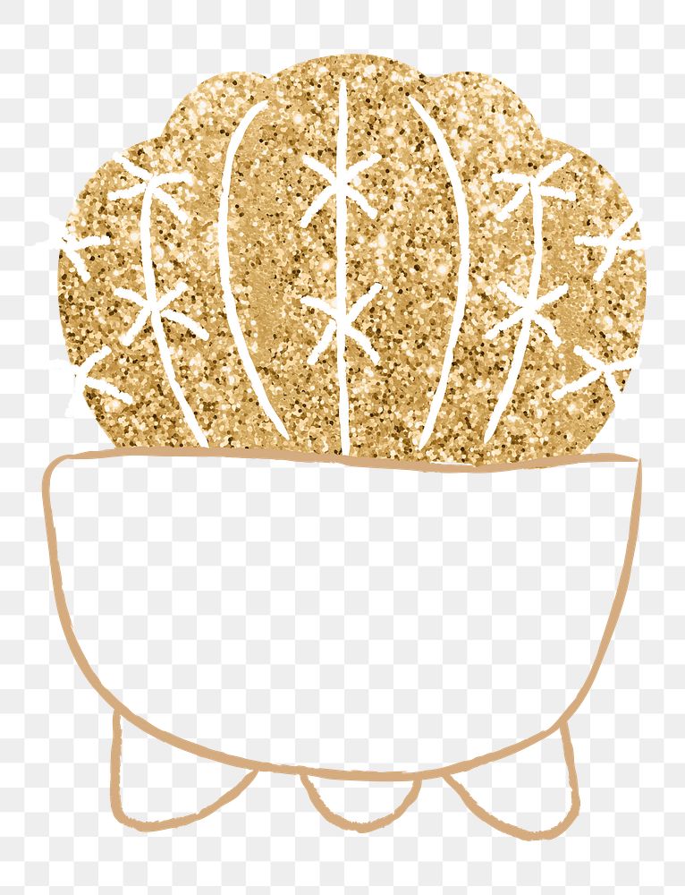 Gold golden barrel cactus png houseplant doodle