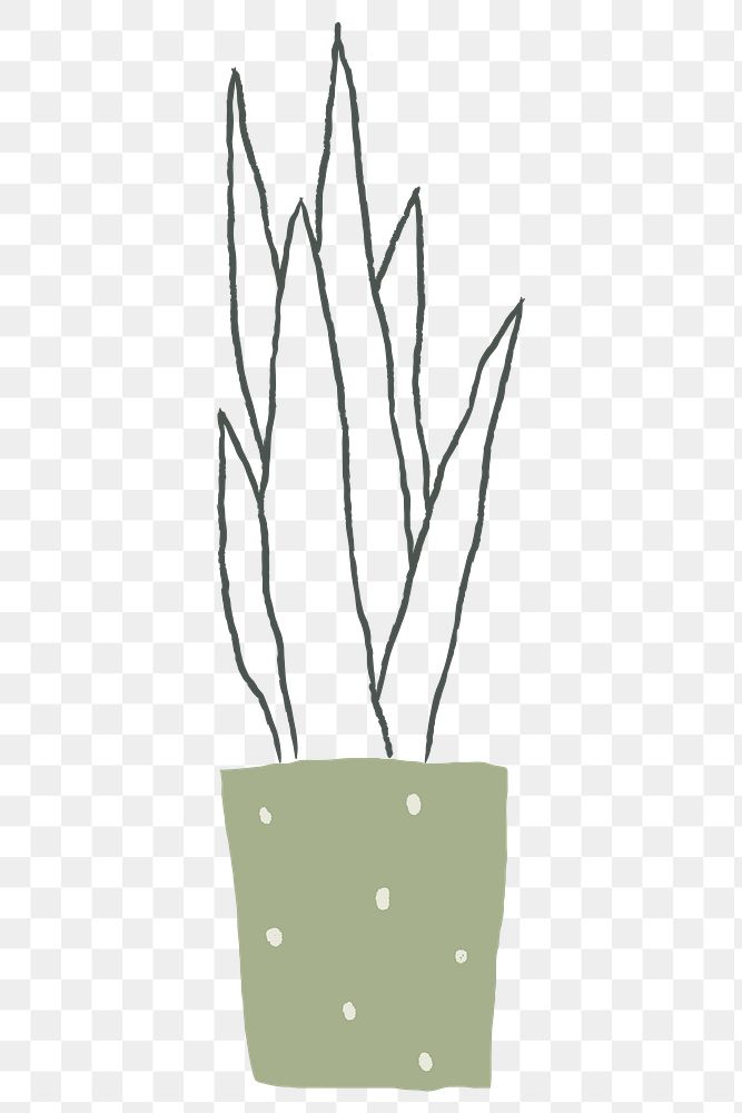 Snake plant png houseplant doodle hand drawn