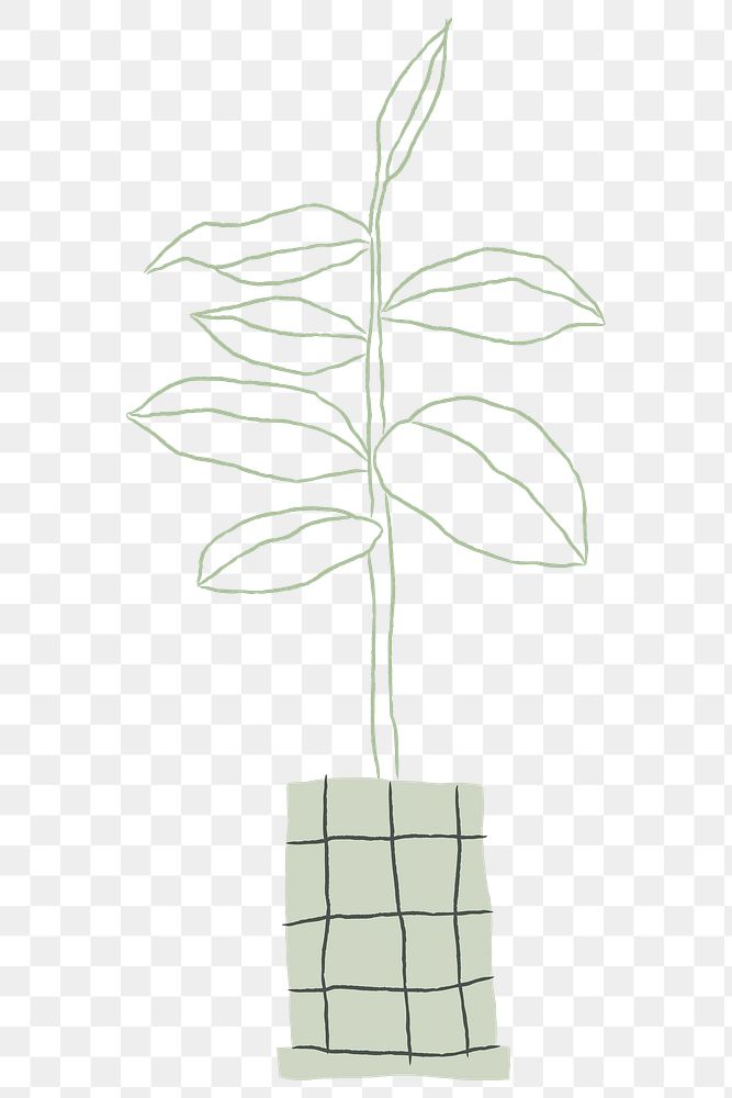 Potted rubber plant png houseplant doodle