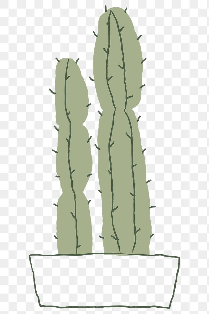 Cereus cactus png doodle hand drawn