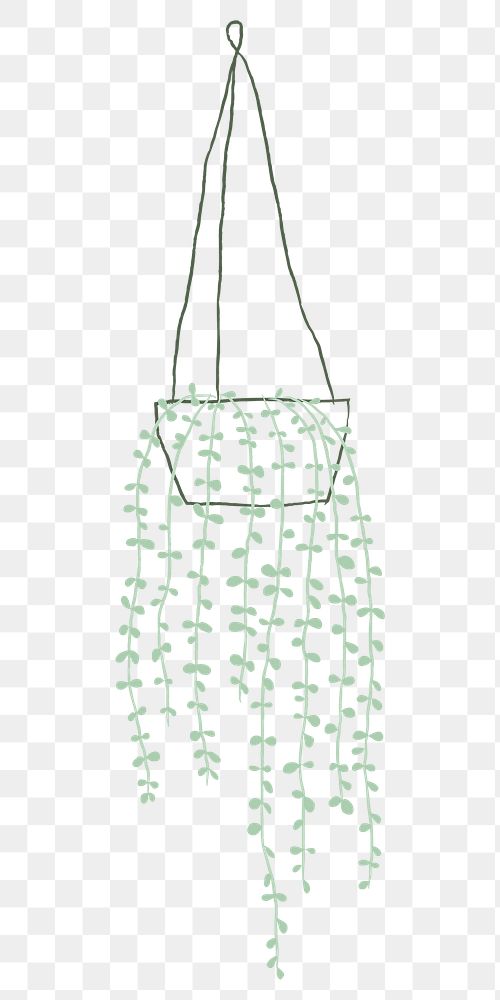 Hanging plant png houseplant doodle