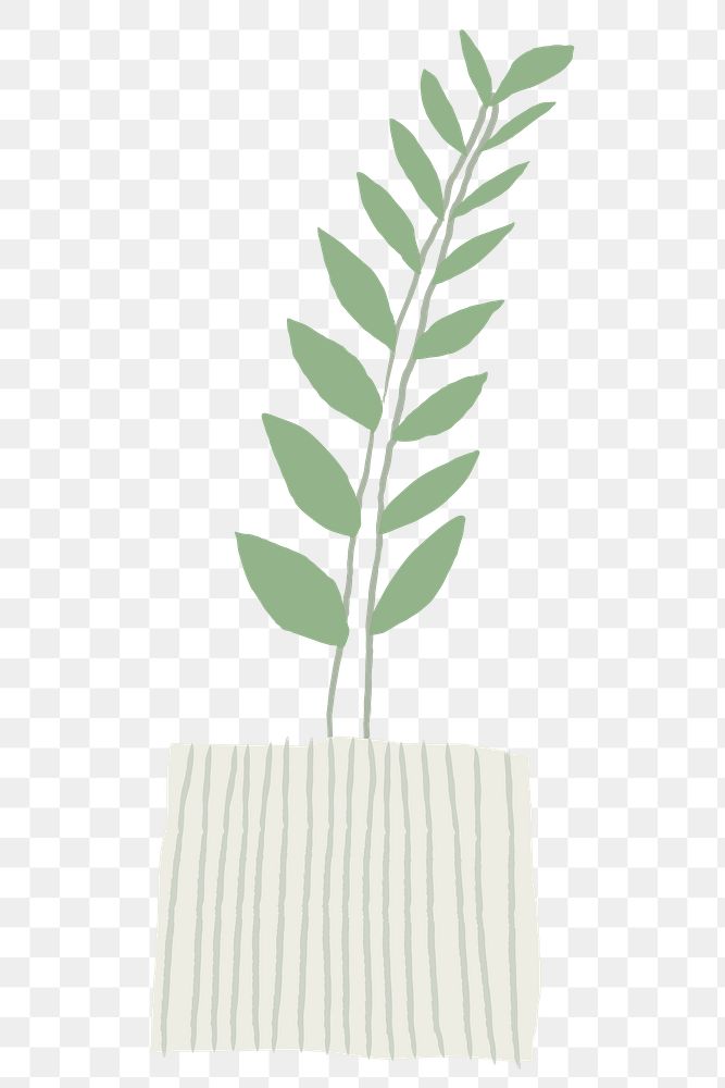 ZZ plant png houseplant doodle 