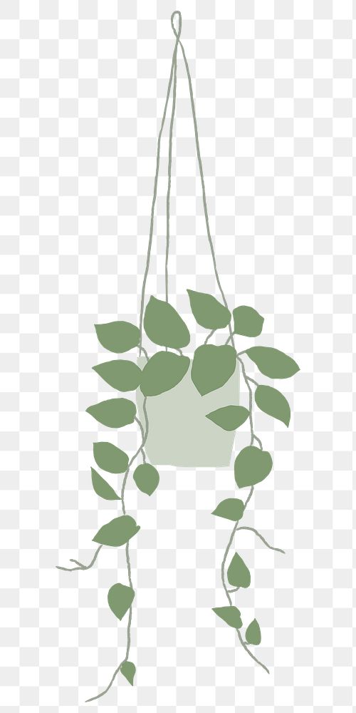 Potted hanging plant png houseplant doodle