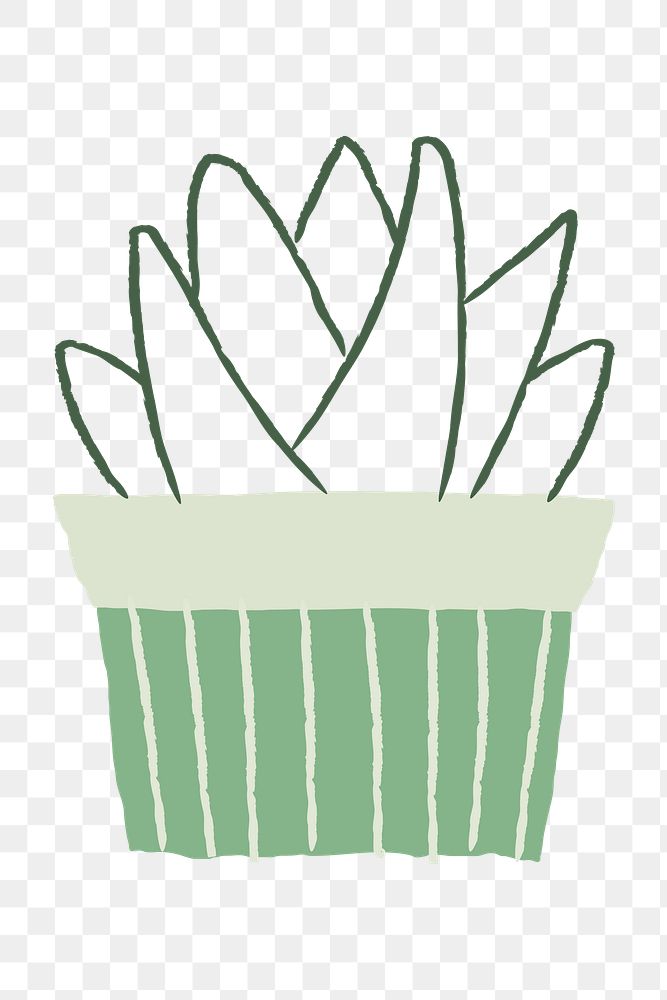 Succulent houseplant png doodle hand drawn