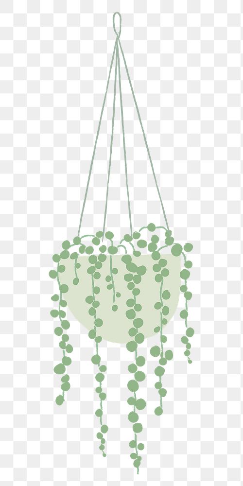 Hanging plant png String of Pearls doodle