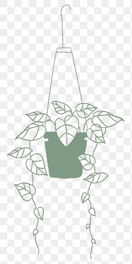 Hanging plant png houseplant doodle