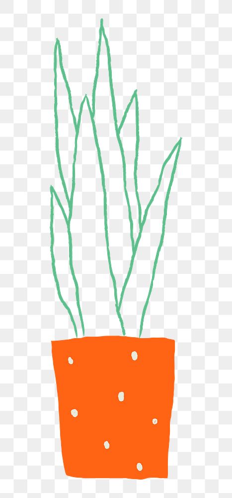Potted snake plant png doodle hand drawn