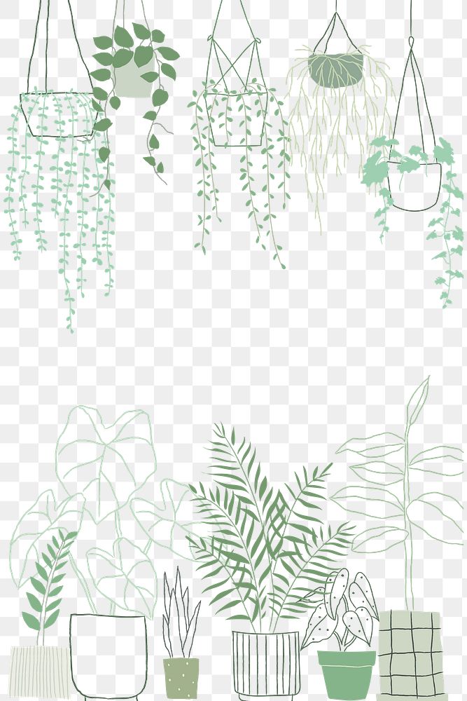 Houseplant png border frame doodle