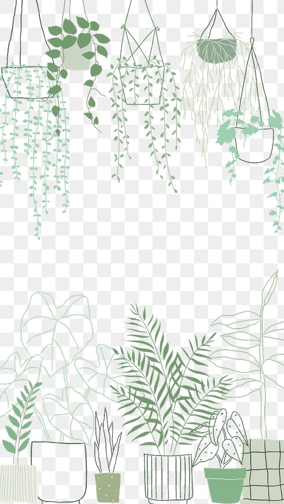 Indoor plant png border frame doodle