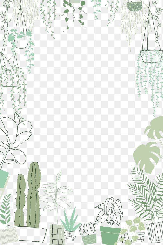 Plant png frame in hand drawn doodle style